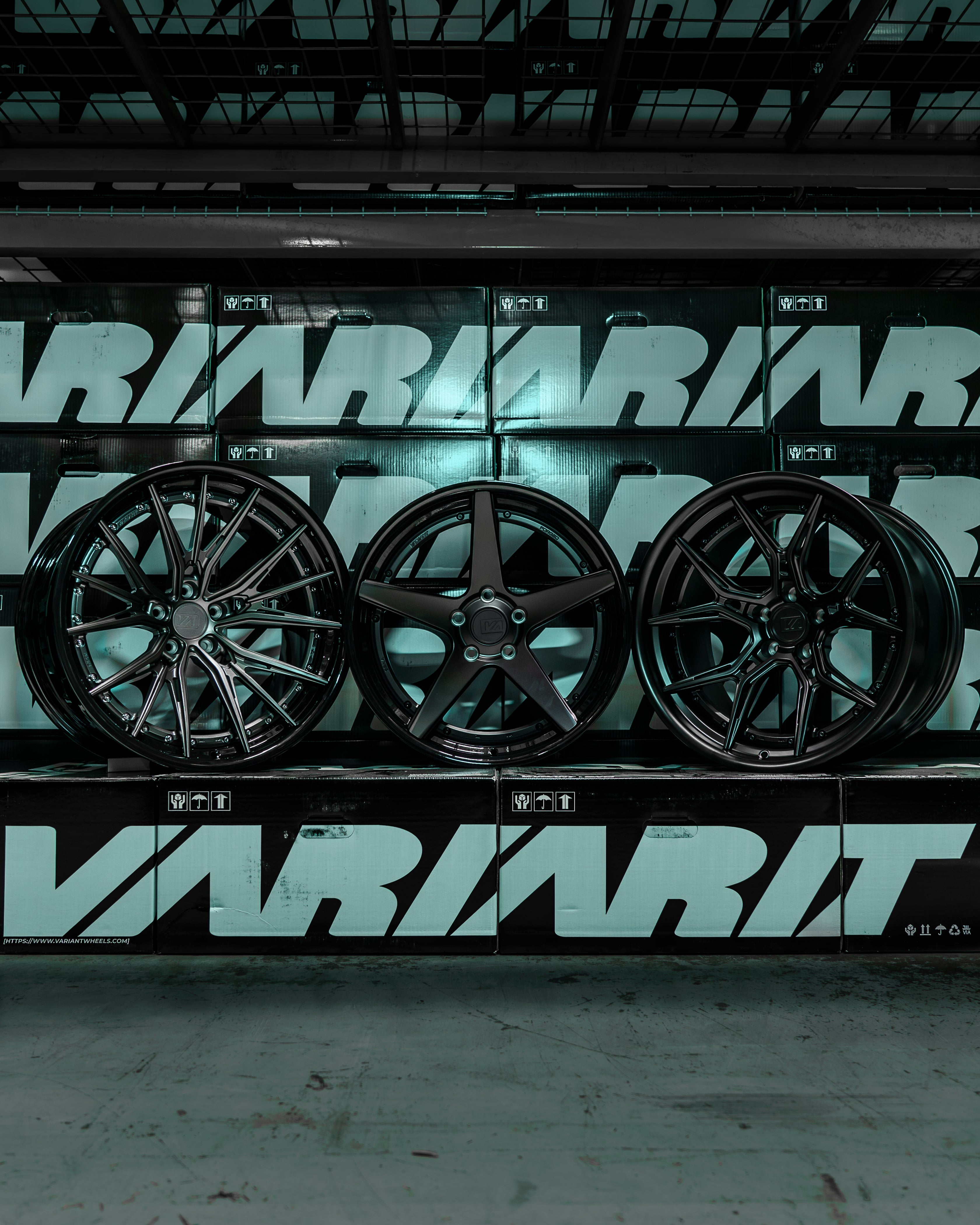 EX2 Collection