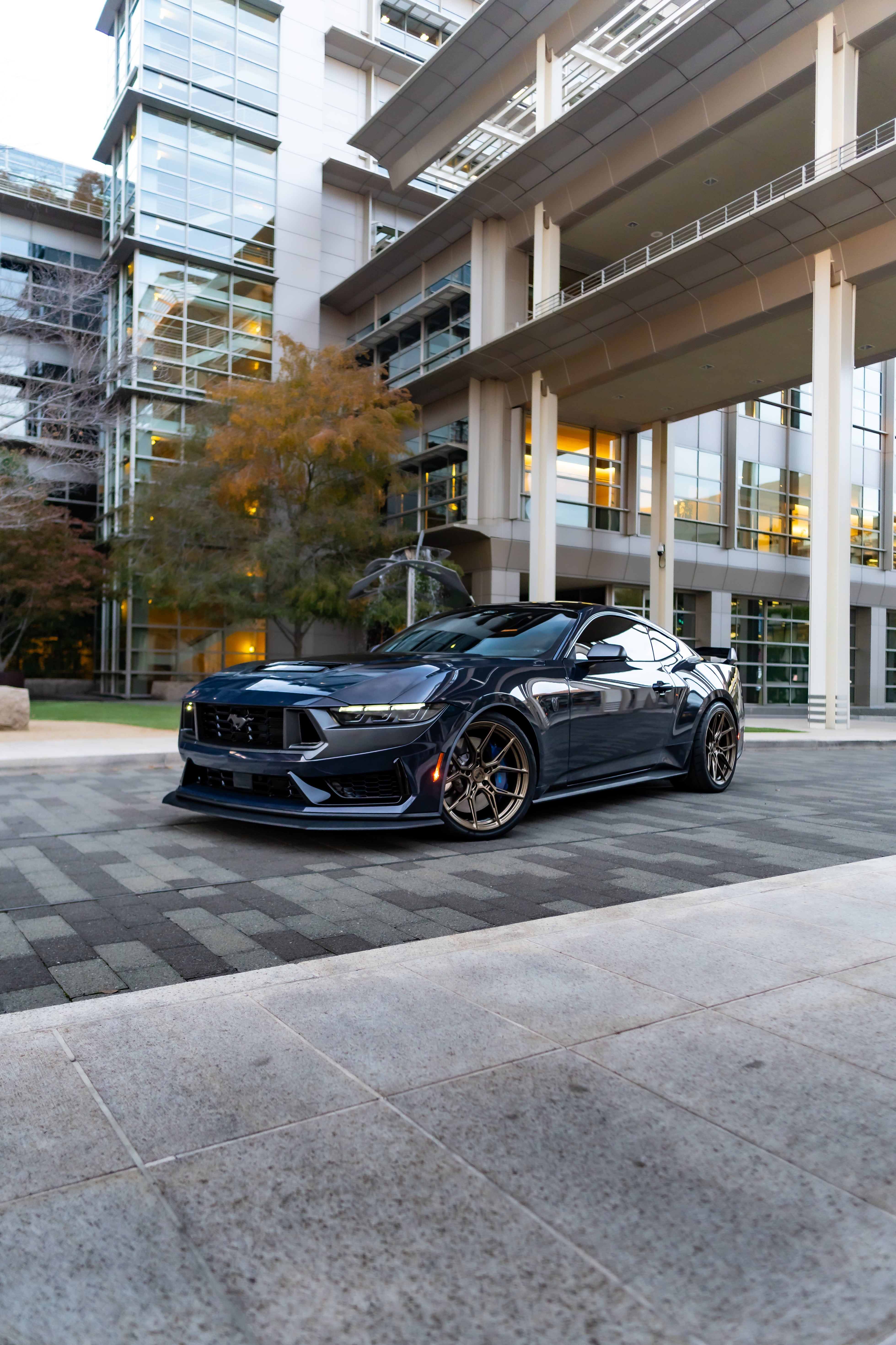 Ford Mustang Dark Horse